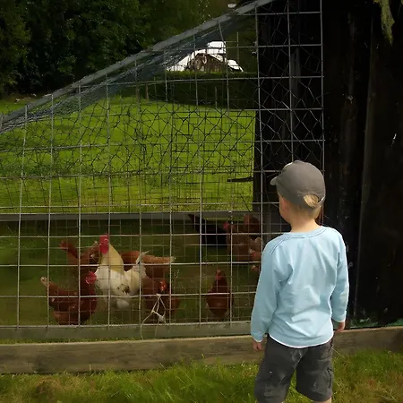 Hohlwegstuebchen סונדרן